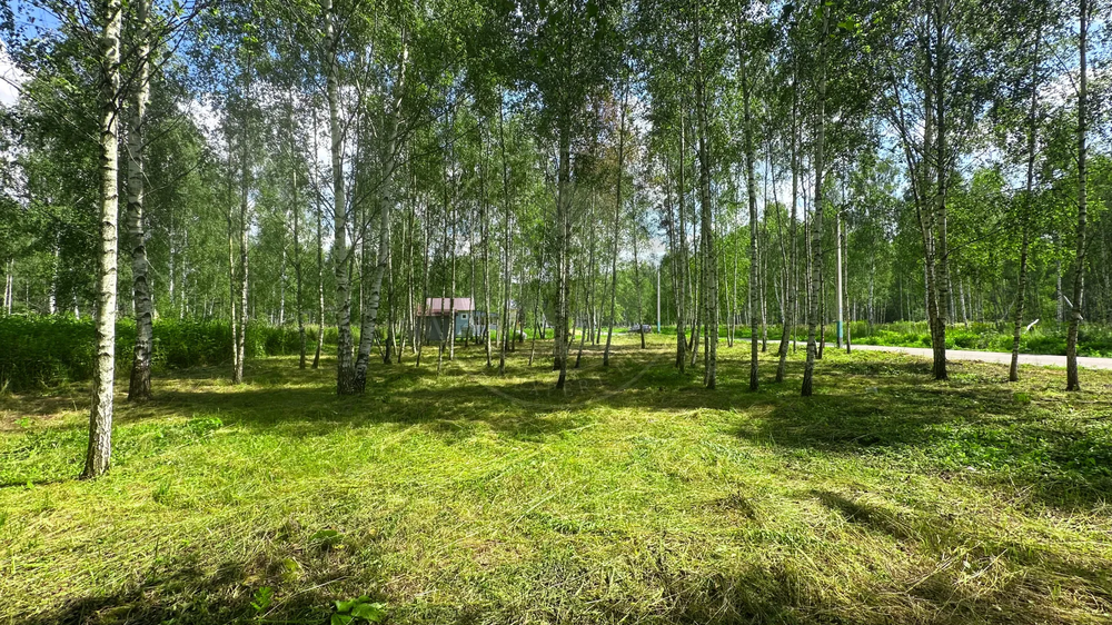 Земельные участки с лесом в коттеджном посёлке Лесной Остров