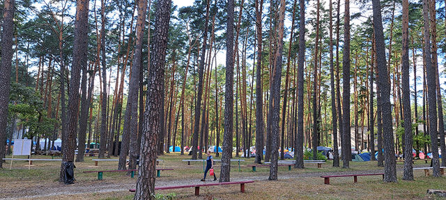 Photo Report from Bryansk UECB Congress - 2024