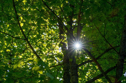 Sommerens gudstjenester
