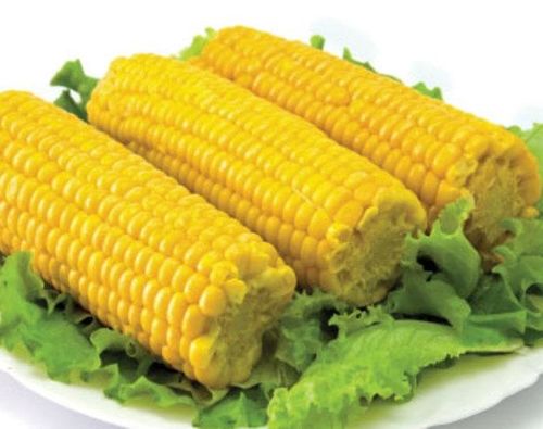 Вареная кукуруза