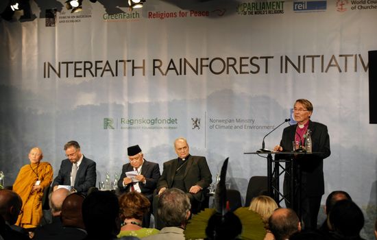 HELLIG PLIKT: Ex-biskop Gunnar Stålsett sa under lanseringen av Interfaith Rainforest Initiative at bevaring av regnskogen er vår delte hellige plikt. FOTO: RFN/Ronny Hansen