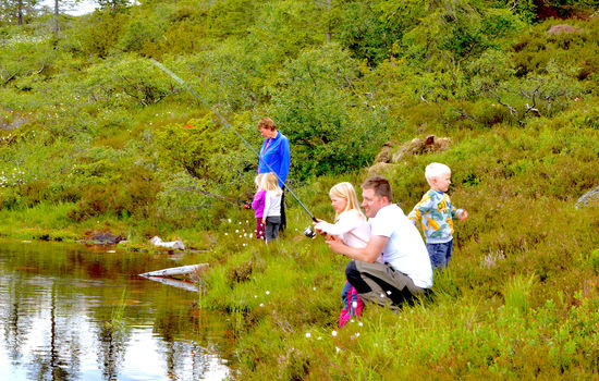 TRIVES: Jan Arild Åkre lærer bort stangfiske i et fjellvann øst for Bygland til datteren Rebecca (5), mens sønnen Samuel (3) ikke helt er i gang med slikt ennå. Foto: Stein Gudvangen, KPK.