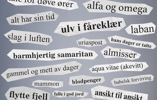 BIBEL-UTRYKK: Mange kjende ord og utrykk kjem opphaveleg frå Bibelen. Mange av dei vert òg brukt i valkampen. FOTO: Nordisk Bibelmuseum