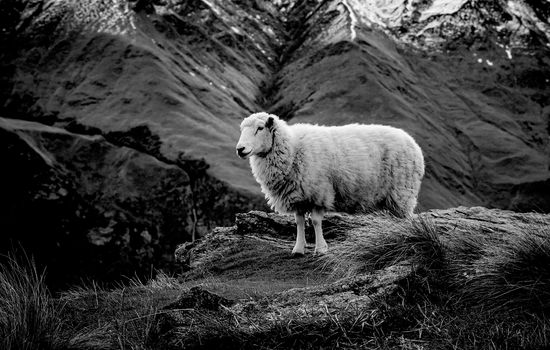 Lete og finne – løse og binde