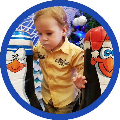 Программа за 233 000 ₽