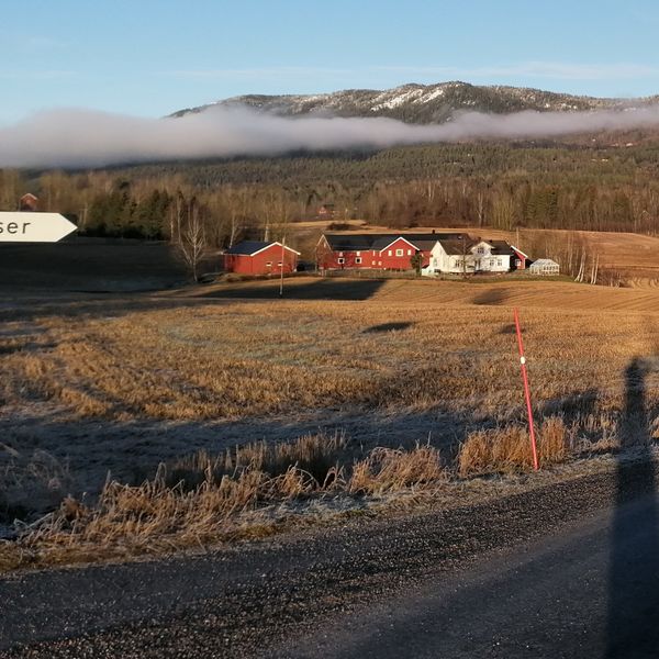 Tor M. og Isak løper i motbakke i Gjerpen