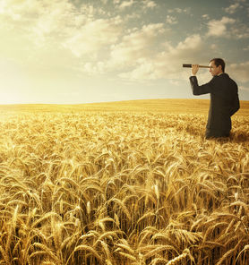 Abounding in the work, the Believer’s Ambition.