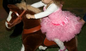 Лошадка для детей от 4- 7 лет