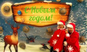 Снежки 