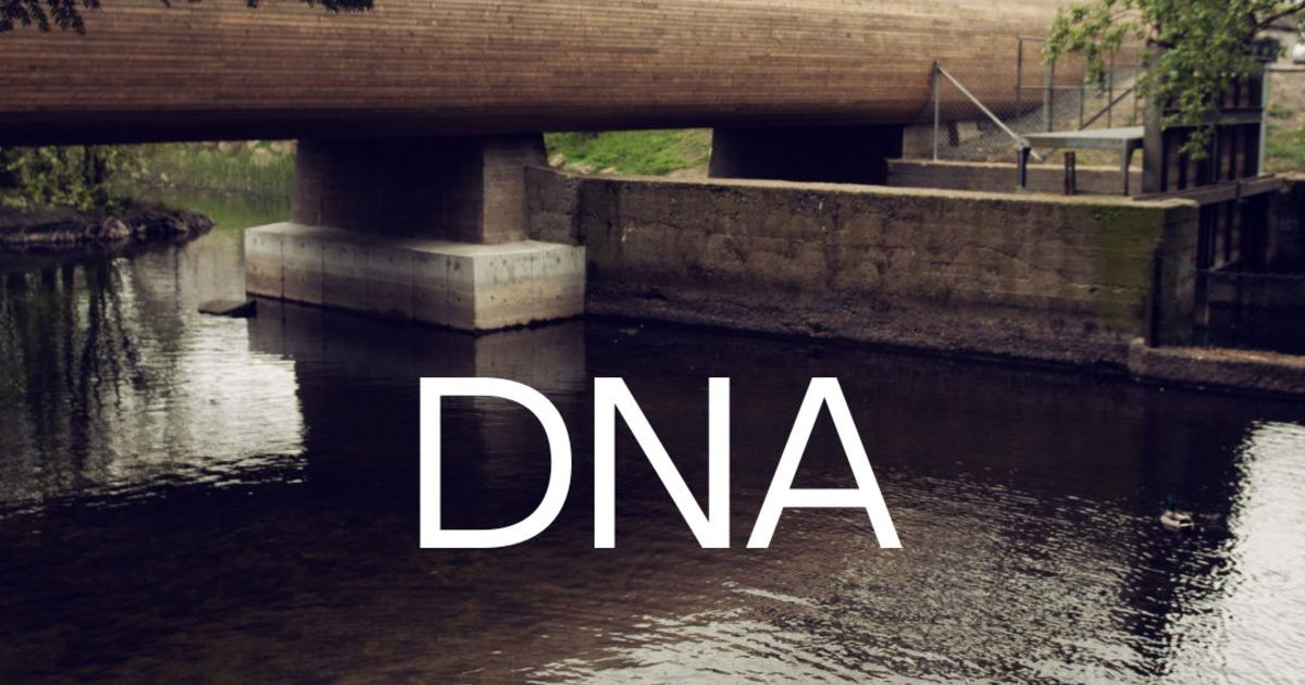 DNA Storfamilie