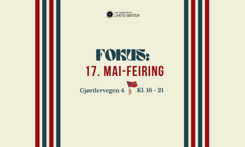 17. mai-feiring for unge voksne