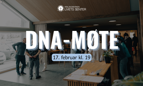 DNA-møte 17. februar