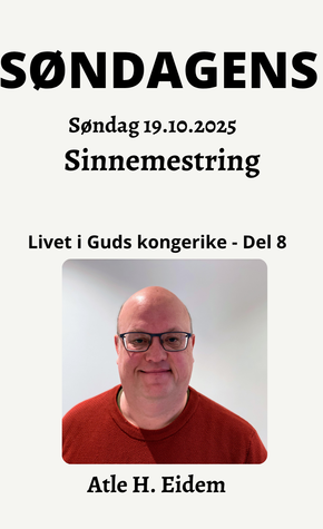 Sinnemestring - (del 8)