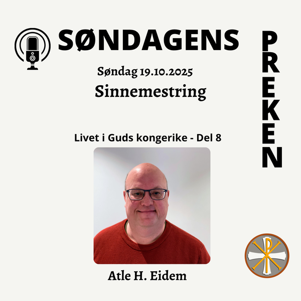 Sinnemestring - (del 8)