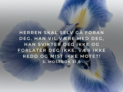 Nyhetsbrevet uke 40