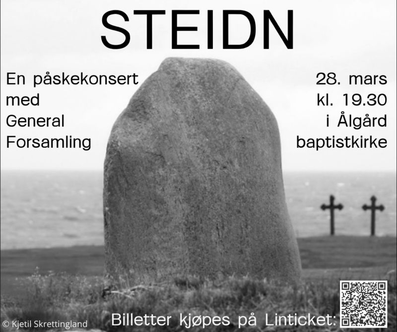 STEIDN