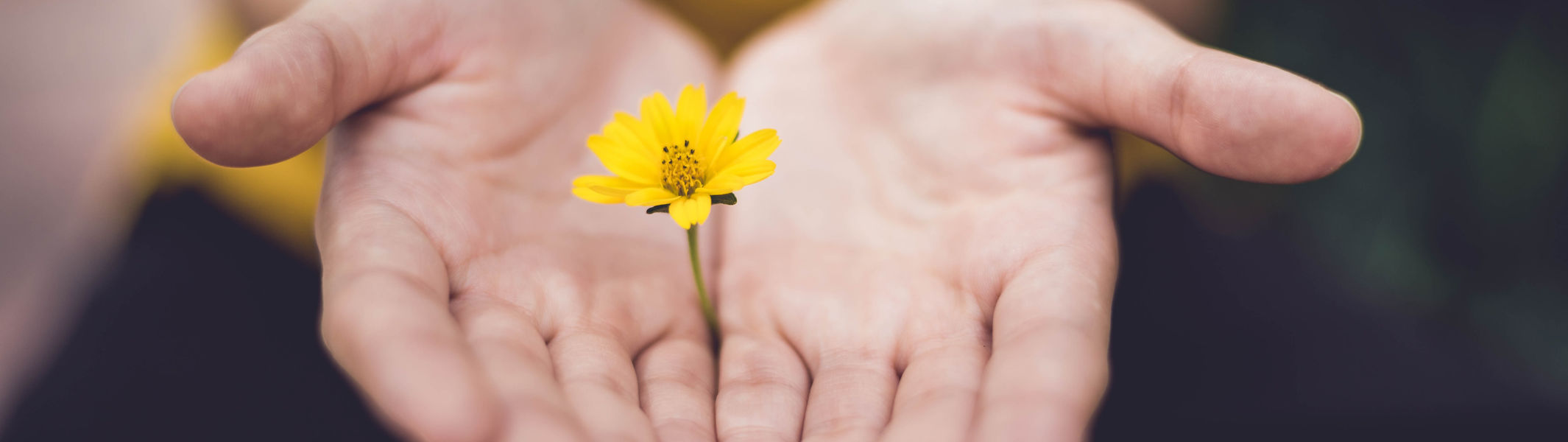 Hva betyr det å varsle?