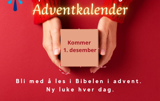 1. desember starter årets adventskalender