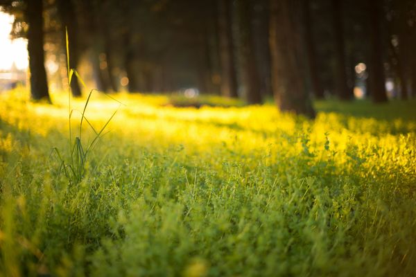 Nyhetsbrev juni 2025