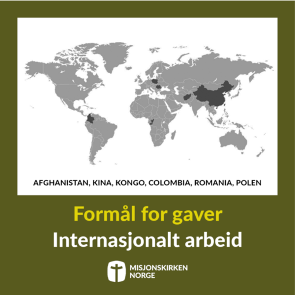 Internasjonalt arbeid