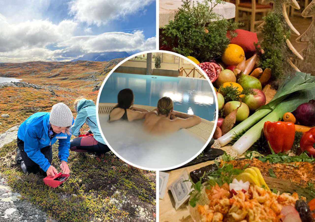 Busstur fra Lyngdal, Mandal og Kristiansand september