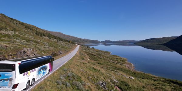 Bussturer til Hermon
