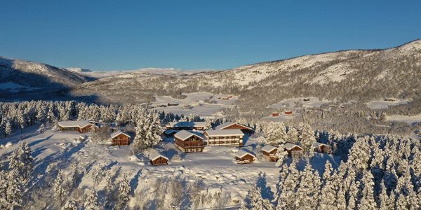 Vinter