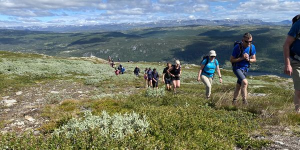 Sommer Tur fra Hermon