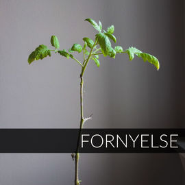 Formål og visjon