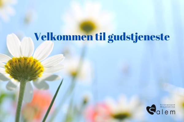 Gudstjenester 1. og 8. juni