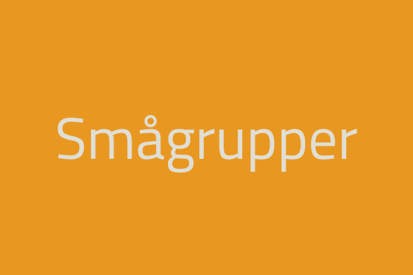 Smågrupper