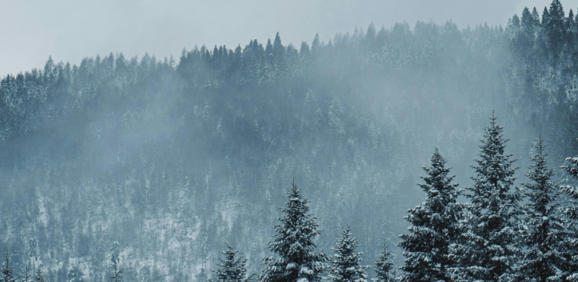 Misjonskirken Nesodden