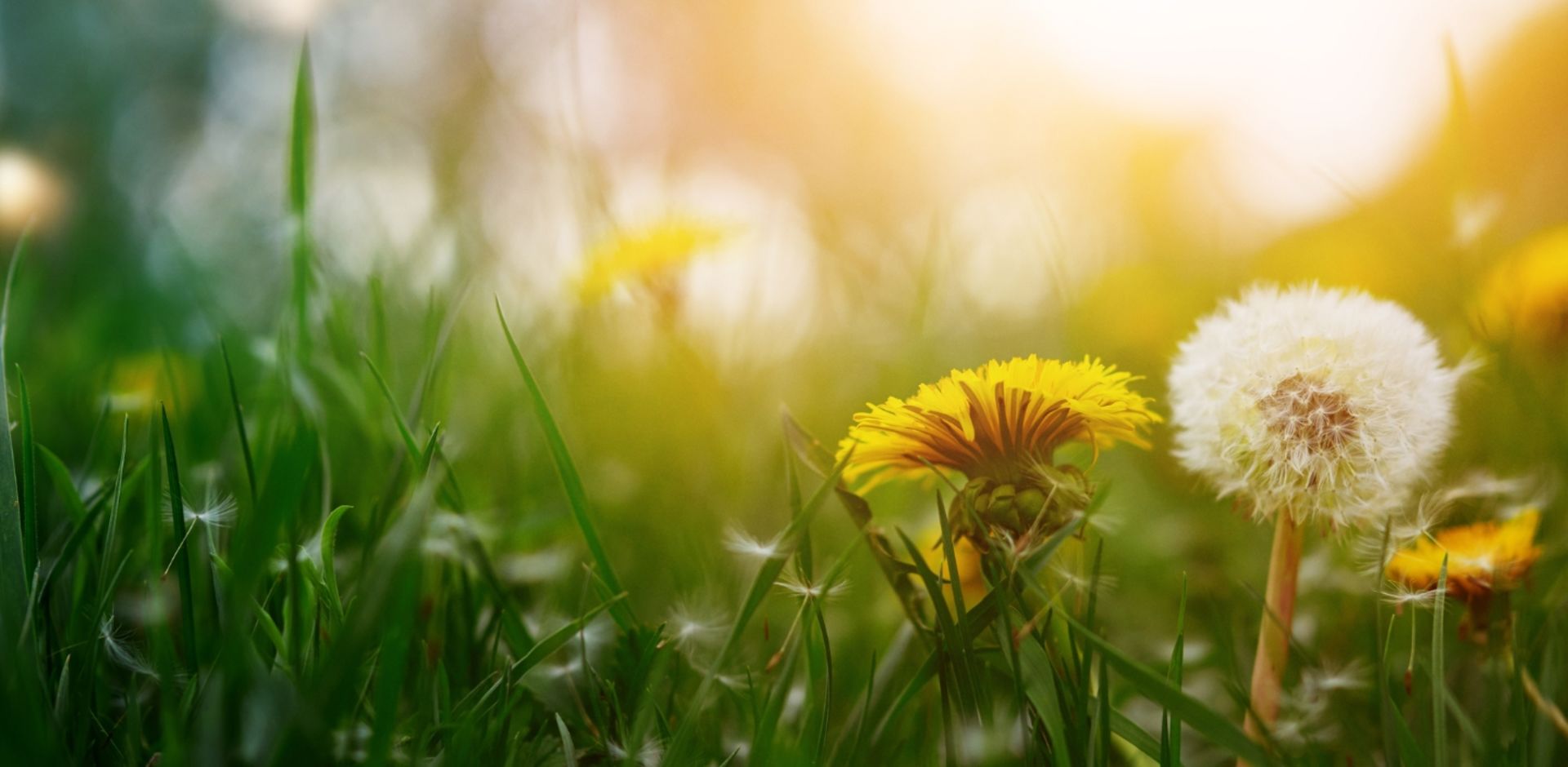 Misjonskirken Nesodden