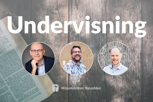 Undervisning