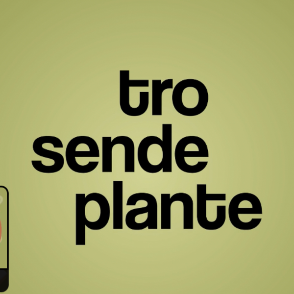 Tro, sende, plante