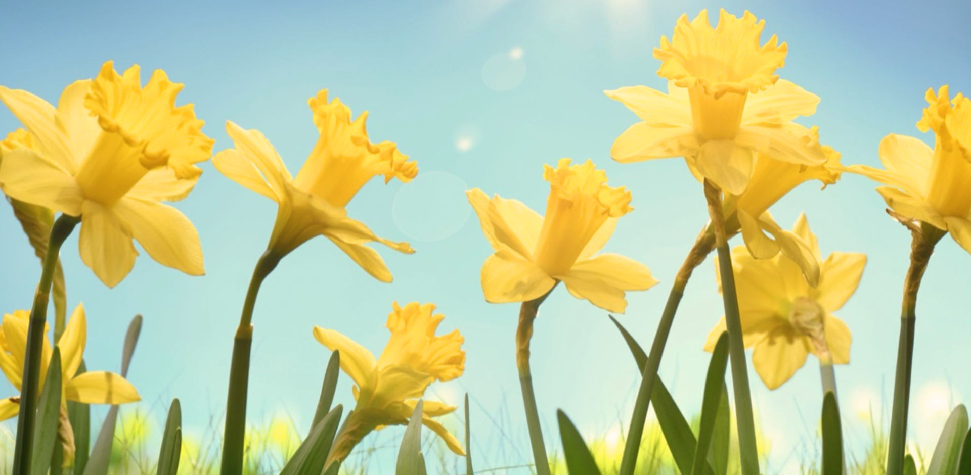 Påske i misjonskirken