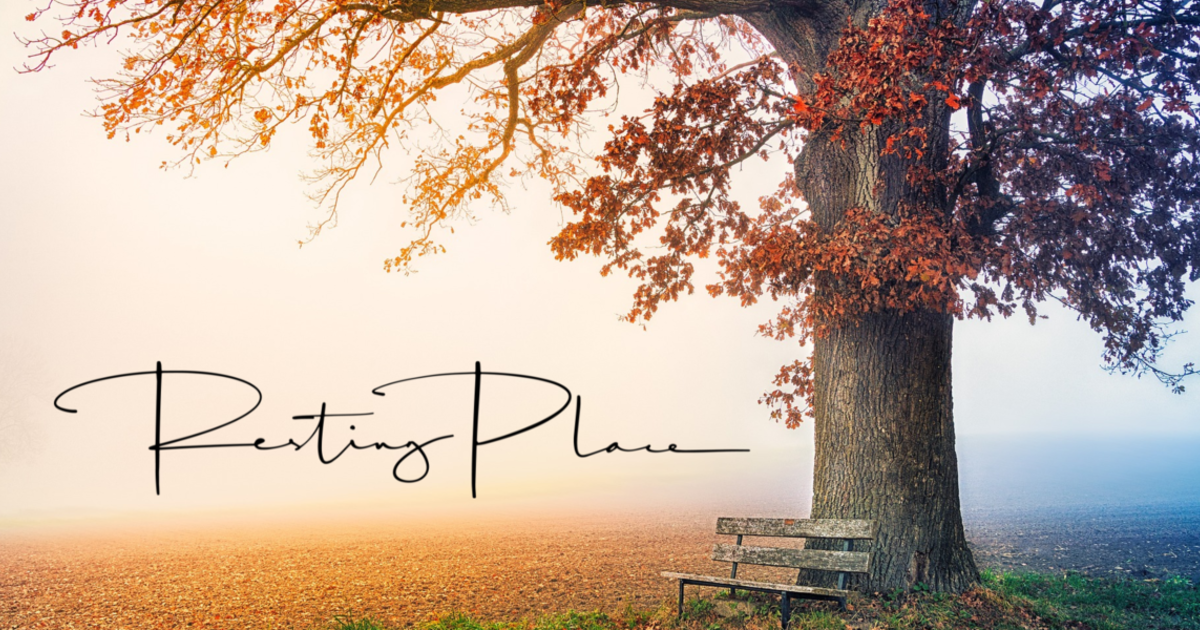 Resting place-nyhetsbrev-desember