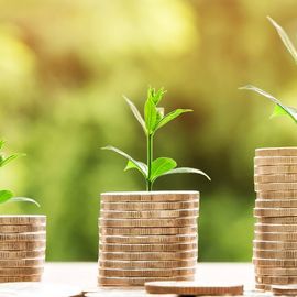 Resting place-nyhetsbrev november