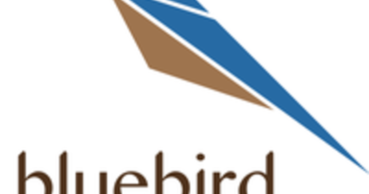 Bluebird Bergen