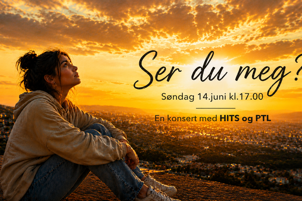 Ser du meg?