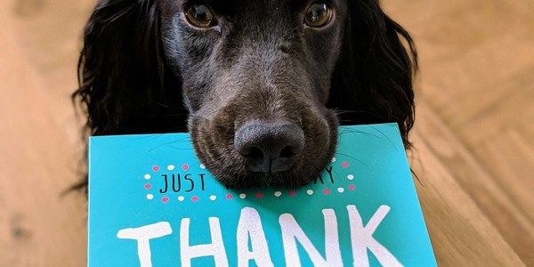 Takknemlighet – en livsholdning