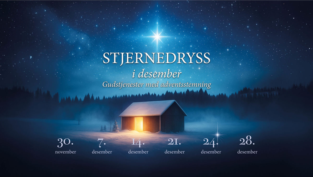 Stjernedryss i desember