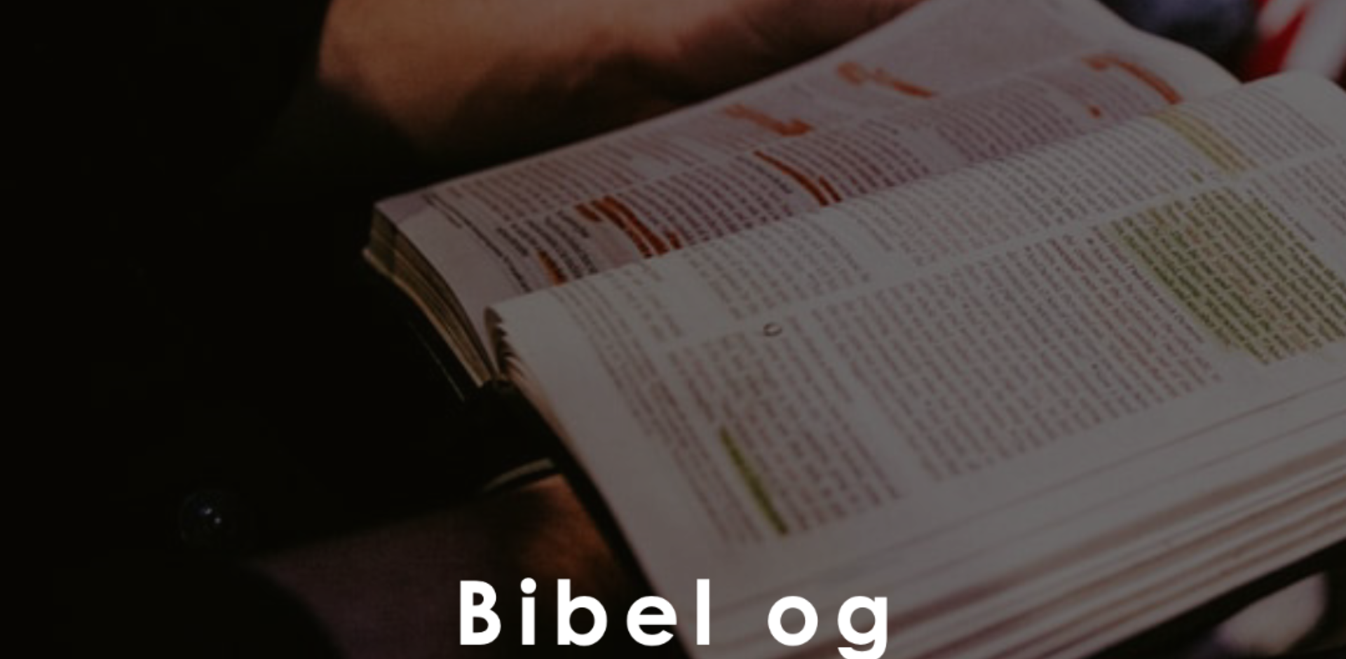 Bibelgrupper