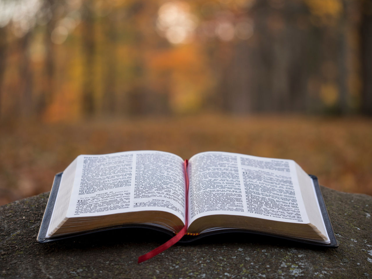 Orphans and the Fatherless in the Bible