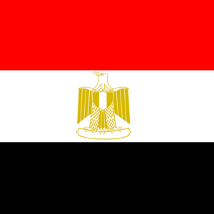Working together to move forward – A Thrive event in Egypt