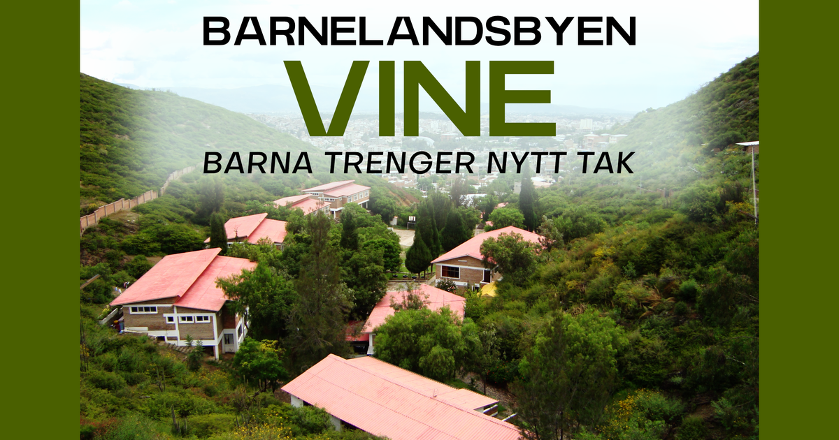 Barna trenger nytt tak !