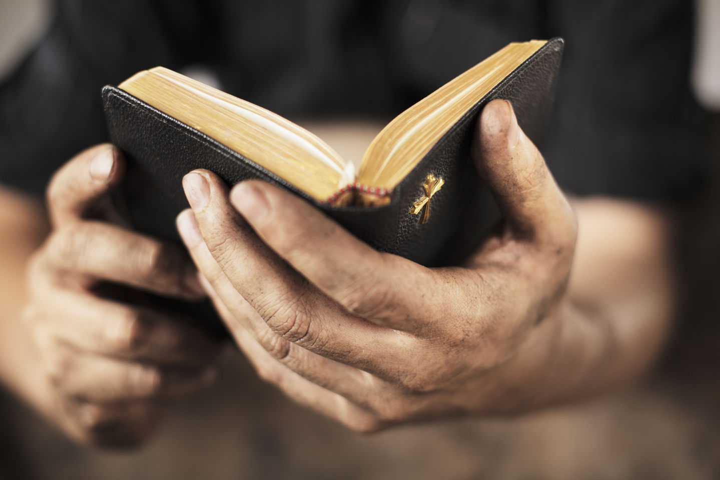 Читаете ли вы Библию в достаточной мере?