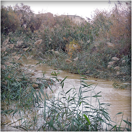 Восточный берег реки Иордан - место крещения Христа, январь 2020 г. - фоторепортаж 