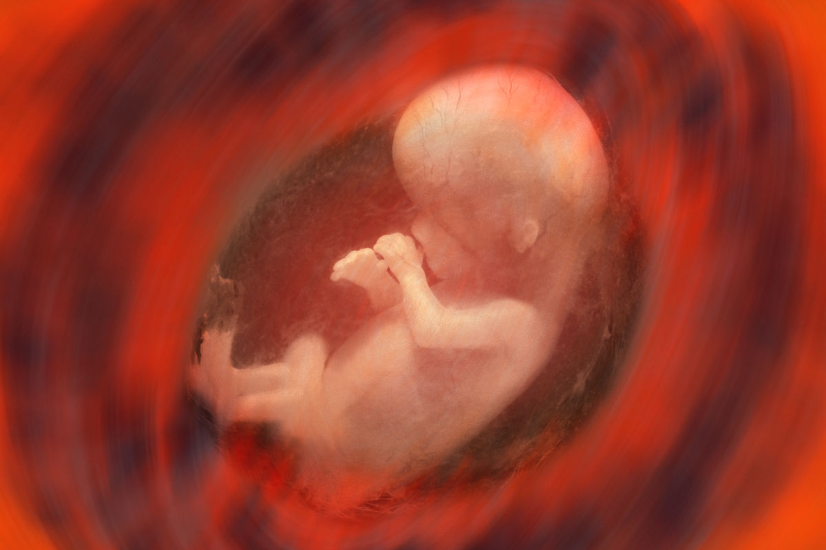 Богом ли созданы младенцы через ЭКО?