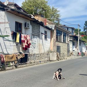 Tusen takk for en magisk sommerleir!